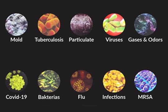 mold-viruses