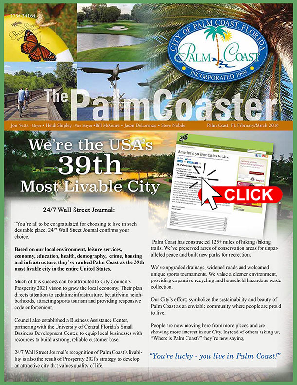 palm- coaster en click
